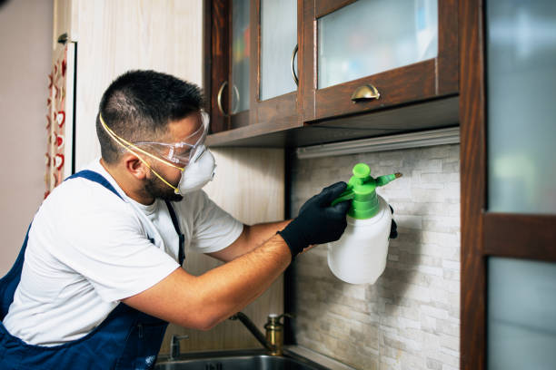 Best Flea Control Services  in Yale, OK