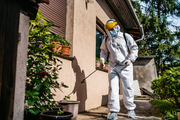 Best Wildlife Control Services  in Yale, OK