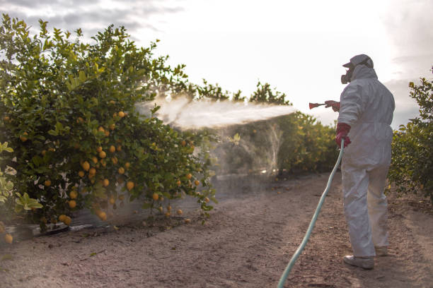Reliable Yale, OK Pest Control Solutions