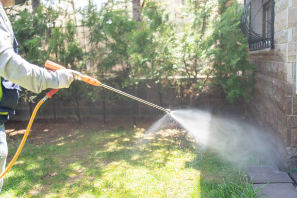 Best Ant Control Services  in Yale, OK