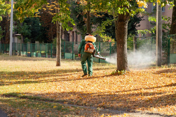Best Rat Extermination Near Me  in Yale, OK