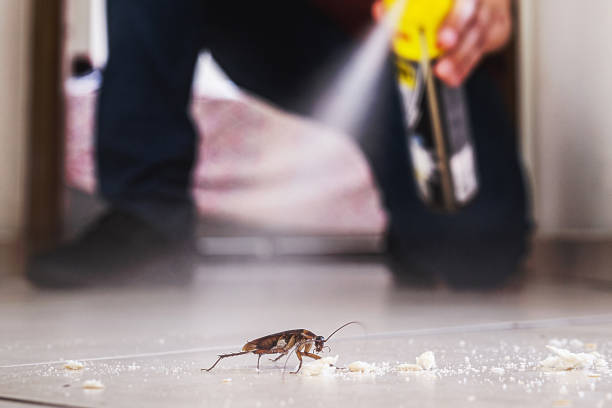 Best Exterminator Services  in Yale, OK