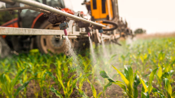 Best Best Pest Control Companies  in Yale, OK